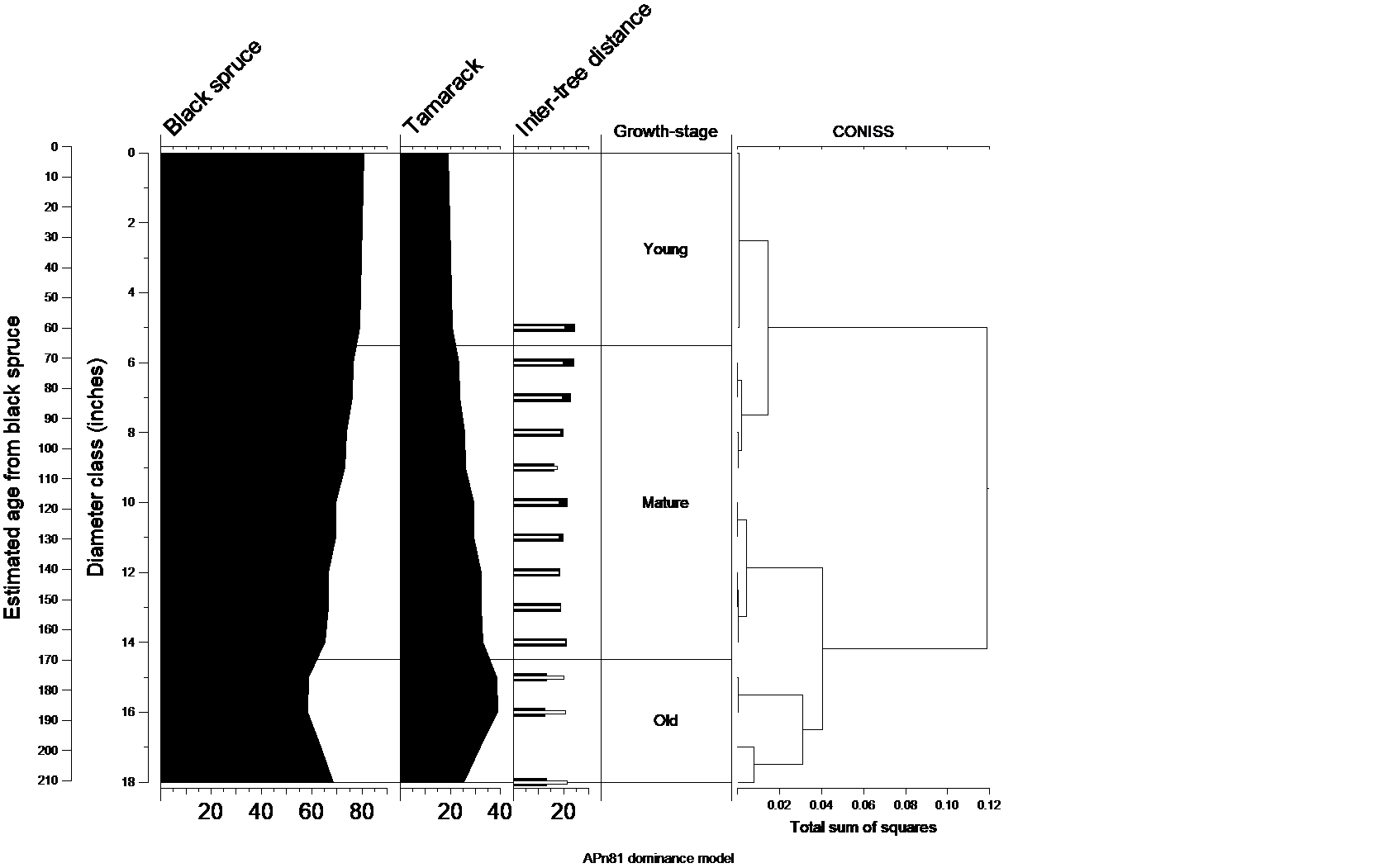 Natural dynamics model for APn81