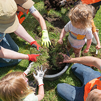 A community of children and adults plant a tree