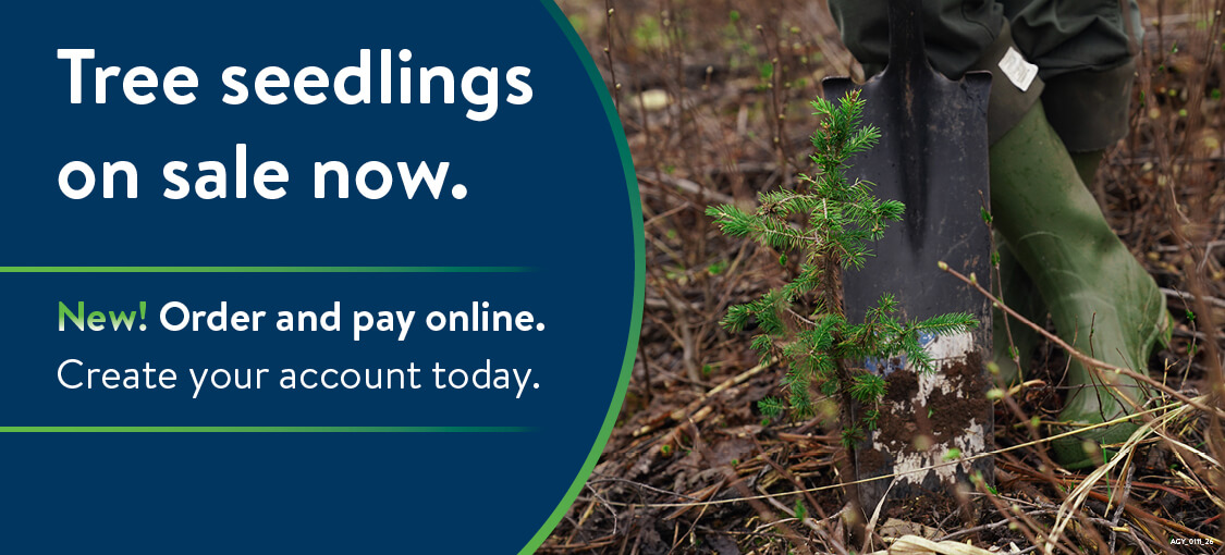New! Order and pay online. Create your account today.